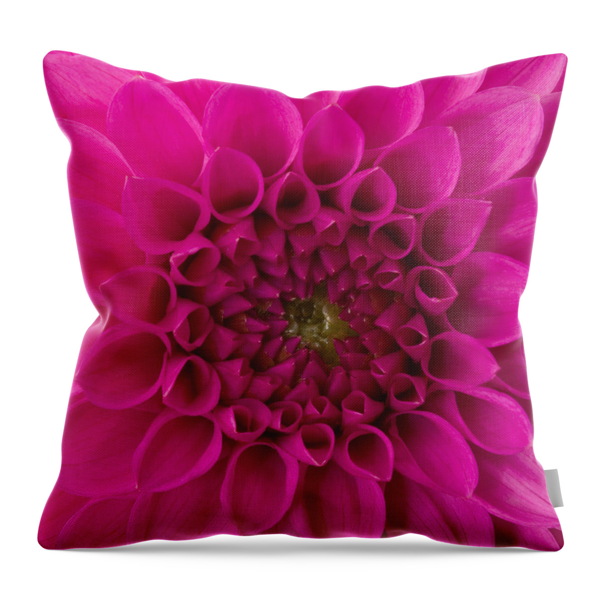 Saturated Color Throw Pillow featuring the photograph Dahlia #2 by Vidok
