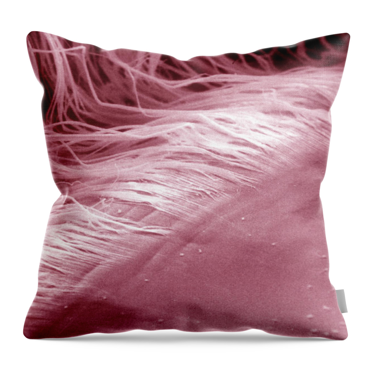 Abstract Throw Pillow featuring the photograph Eye, Sem #2 by Ralph C. Eagle