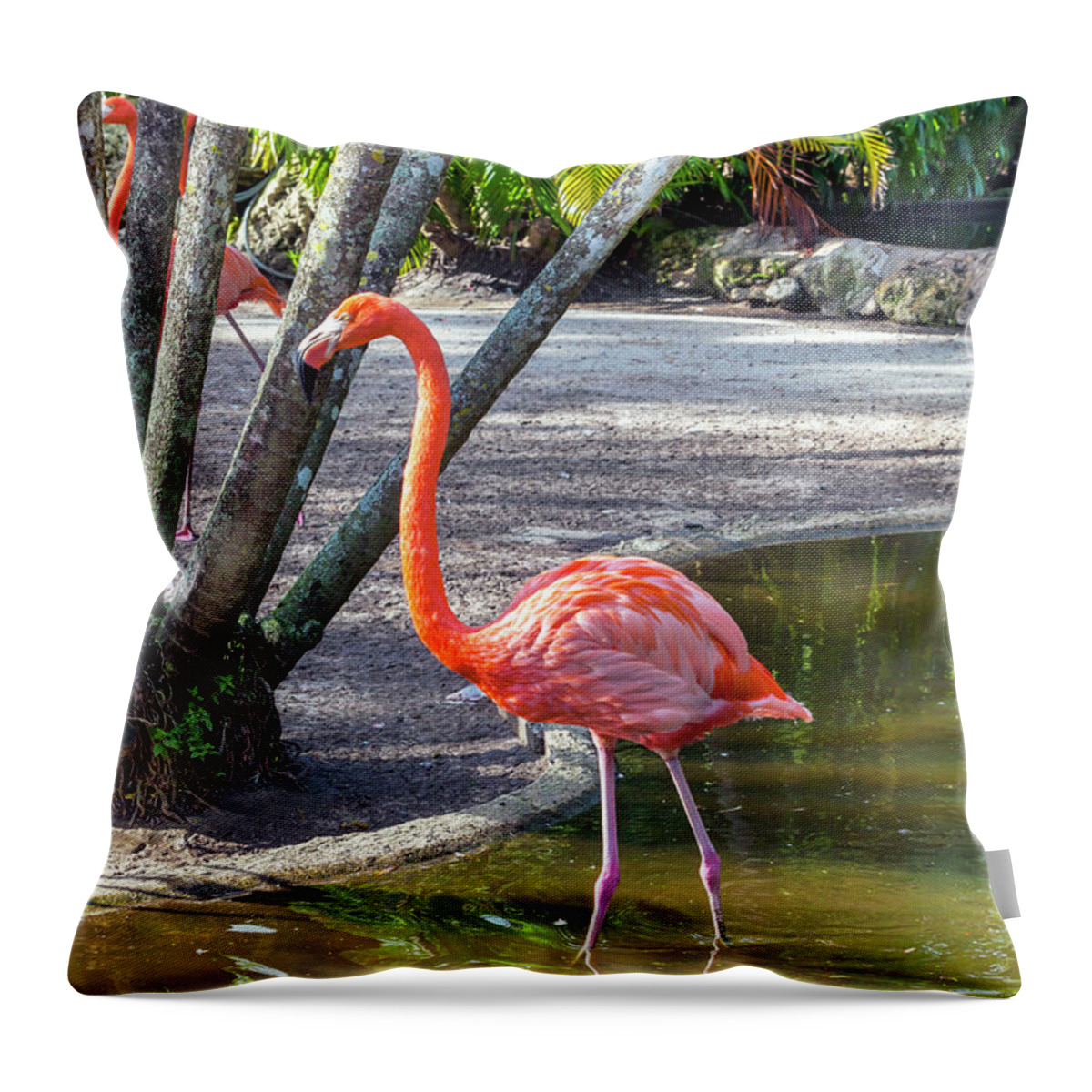 Estock Throw Pillow featuring the digital art Flamingo Gardens, Davie, Fl #2 by Lumiere