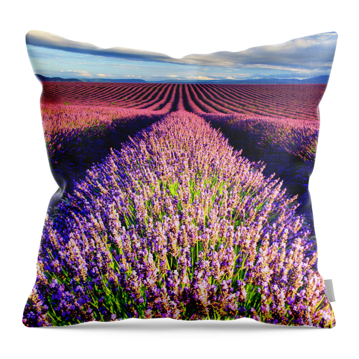 Estock Throw Pillow featuring the digital art France, Provence-alpes-cote D'azur, Provence, Valensole, Lavender Field Near Valensole #2 by Maurizio Rellini