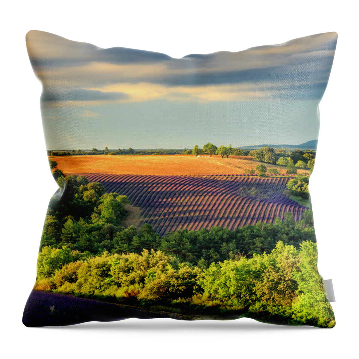 Estock Throw Pillow featuring the digital art France, Provence-alpes-cote D'azur, Provence, Valensole, Lavender Fields Near Valensole #2 by Maurizio Rellini