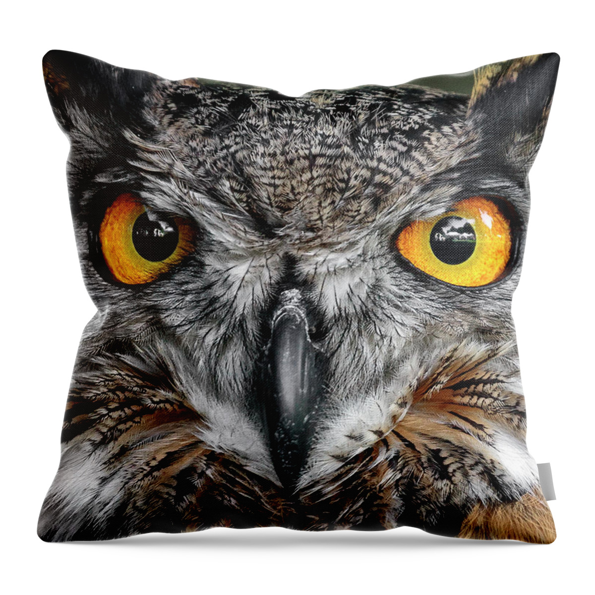 Hypnotic Throw Pillow featuring the photograph Hypnotic #2 by Wes and Dotty Weber
