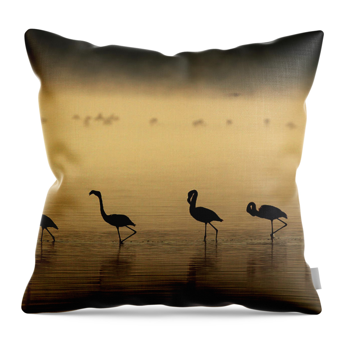 Kenya Throw Pillow featuring the photograph Lesser Flamingos Walking Along Lake #2 by Manoj Shah