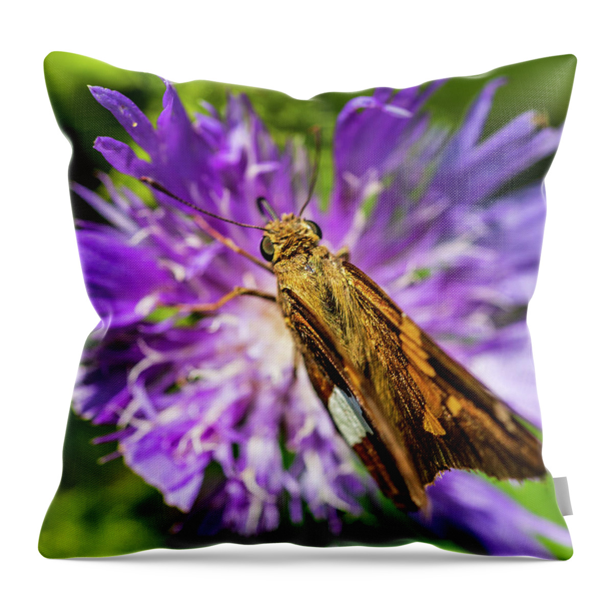 Animals Throw Pillow featuring the photograph Macro Photography - Butterfly by Amelia Pearn