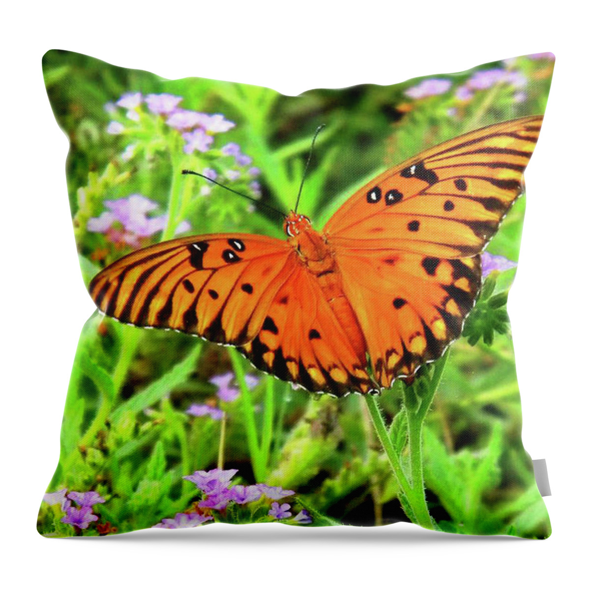Butterfly Throw Pillow featuring the photograph Orange Butterfly #3 by Matthew Seufer