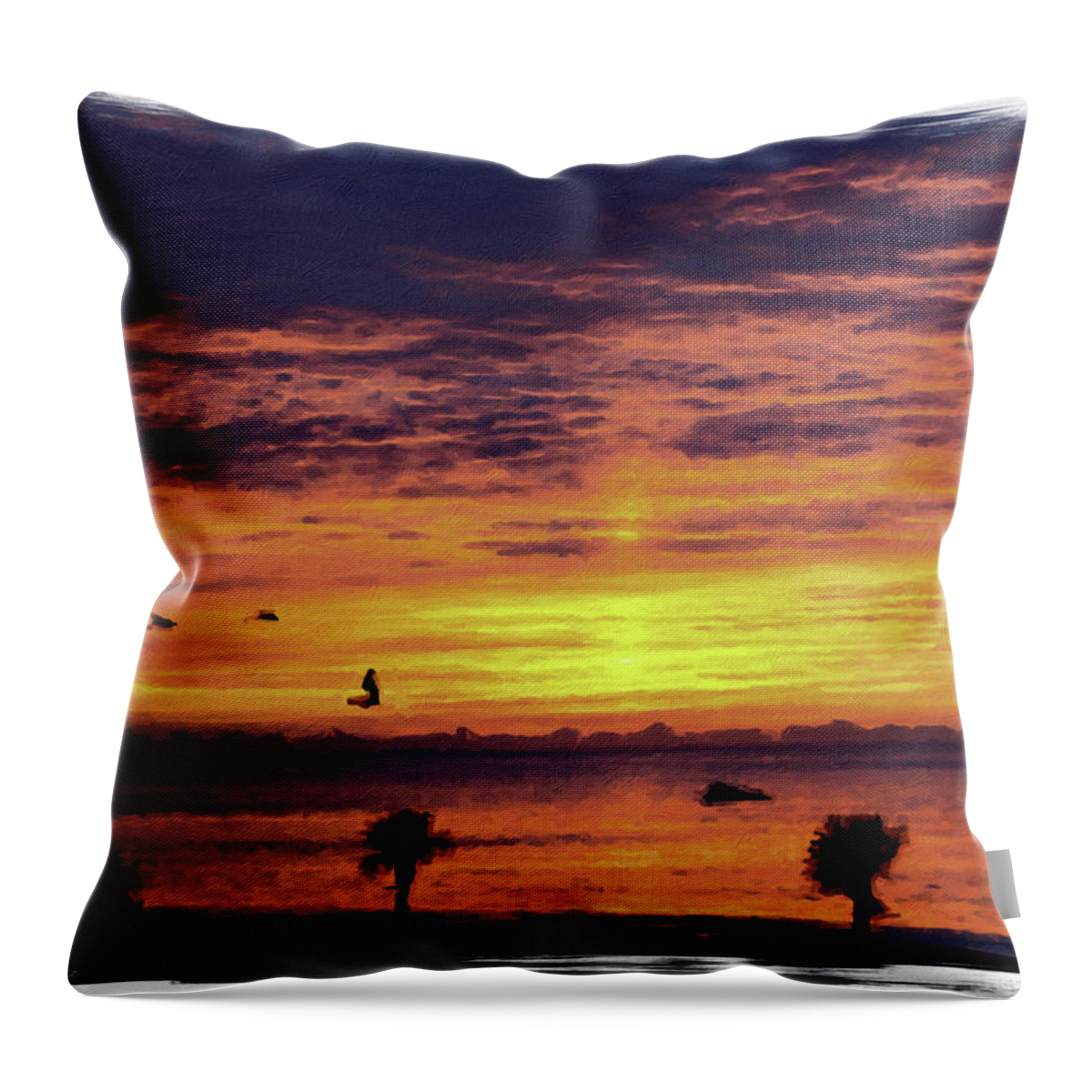 Background Throw Pillow featuring the photograph Ship Into Sunrise #2 by Darryl Brooks