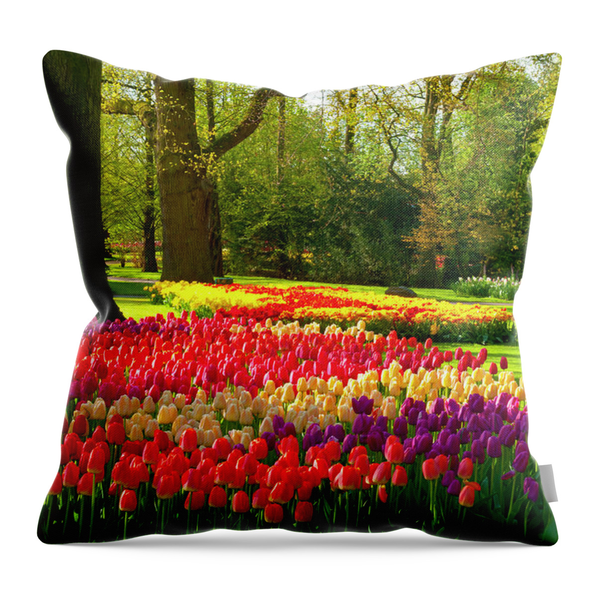 Flowerbed Throw Pillow featuring the photograph Spring Flowers In A Park #2 by Jacobh