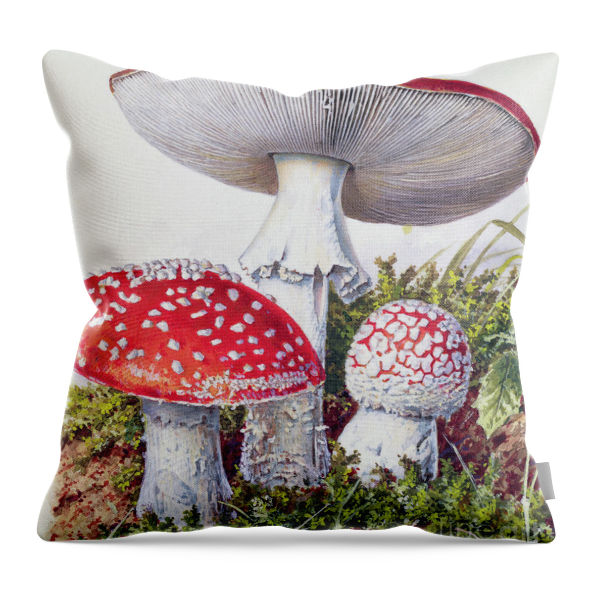 Mushrooms Throw Pillow featuring the painting Study Of Fungus by Josef Fleischmann