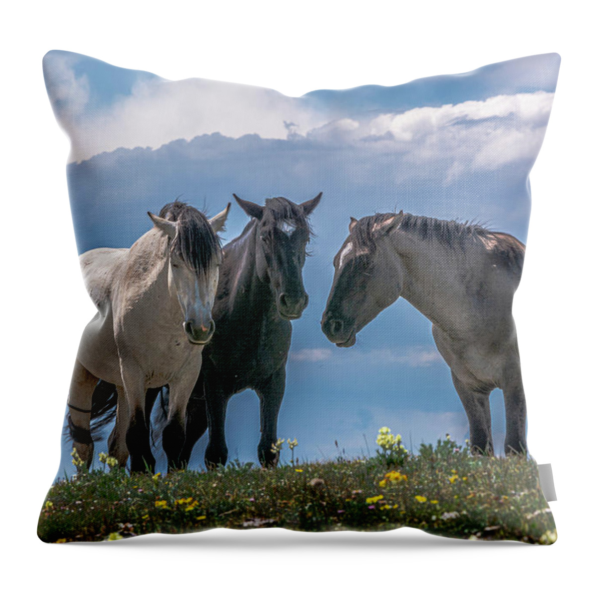Pryor Mountain Throw Pillow featuring the photograph Wild Mustangs of Montana #1 by Douglas Wielfaert