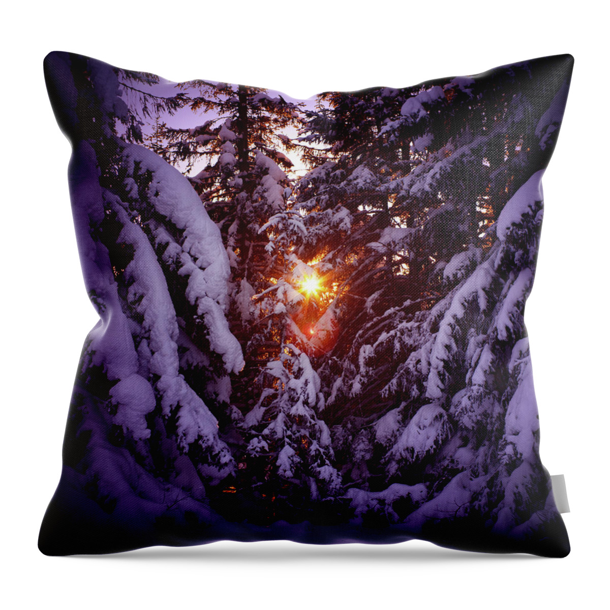 Scenics Throw Pillow featuring the photograph Winter Sunset #2 by Borchee
