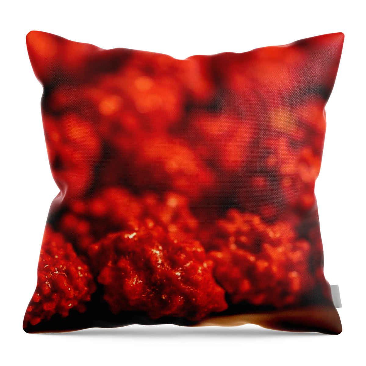 Background Throw Pillow featuring the photograph Yummy Things #2 by Ric Schafer