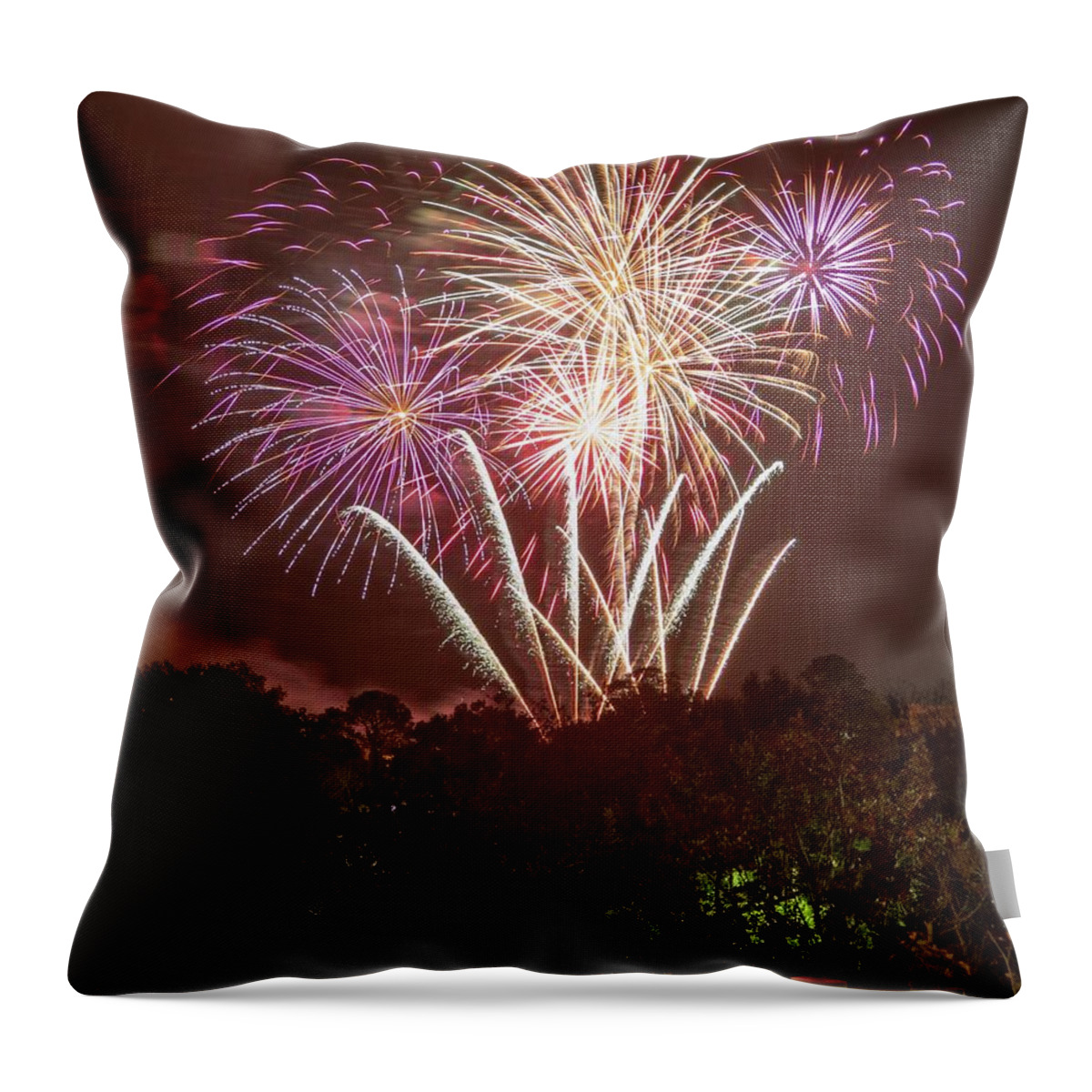 Happy New Year 2019 Fireworks Gainesville Florida Depot Park Throw Pillow featuring the photograph 2019 by Farol Tomson
