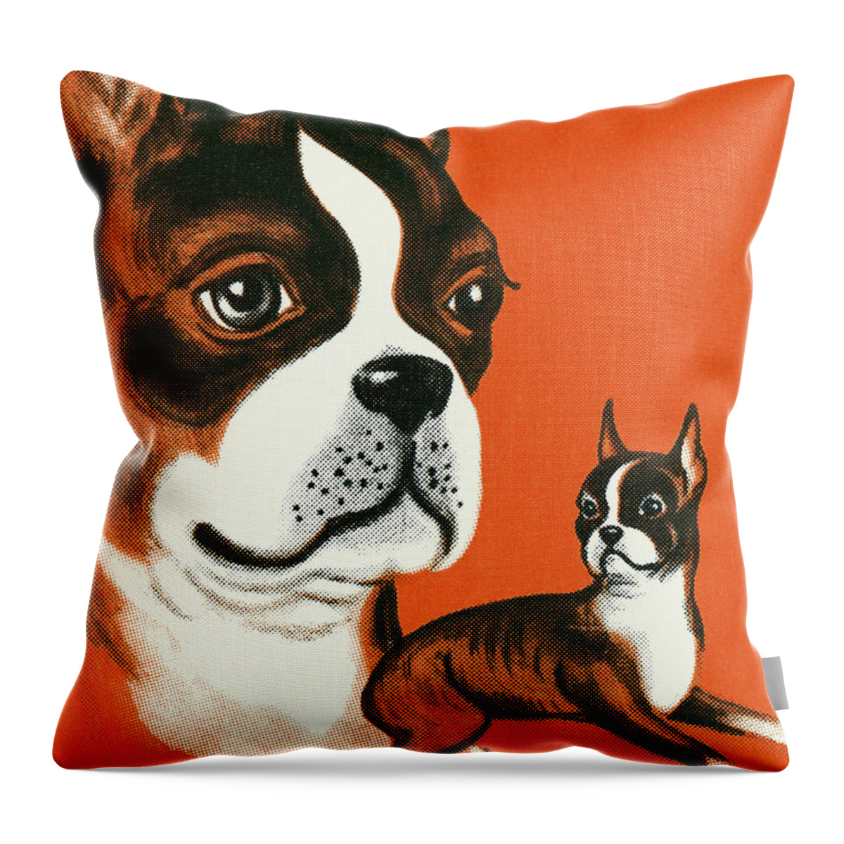 Animal Throw Pillow featuring the drawing Boston Terrier #21 by CSA Images