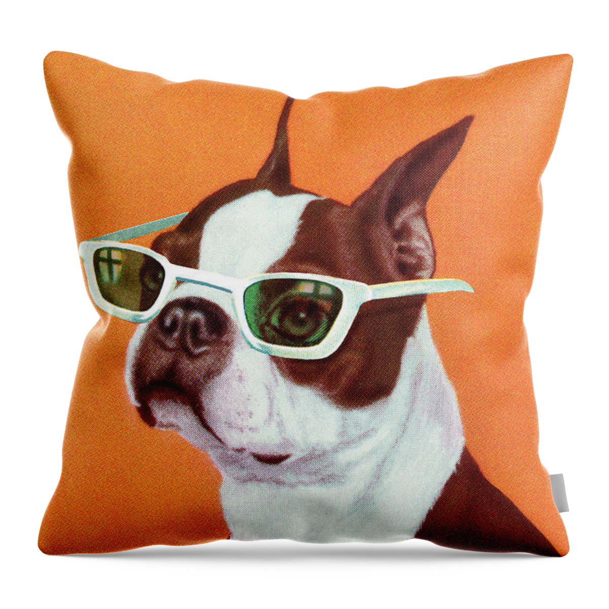 Accessories Throw Pillow featuring the drawing Boston Terrier #22 by CSA Images
