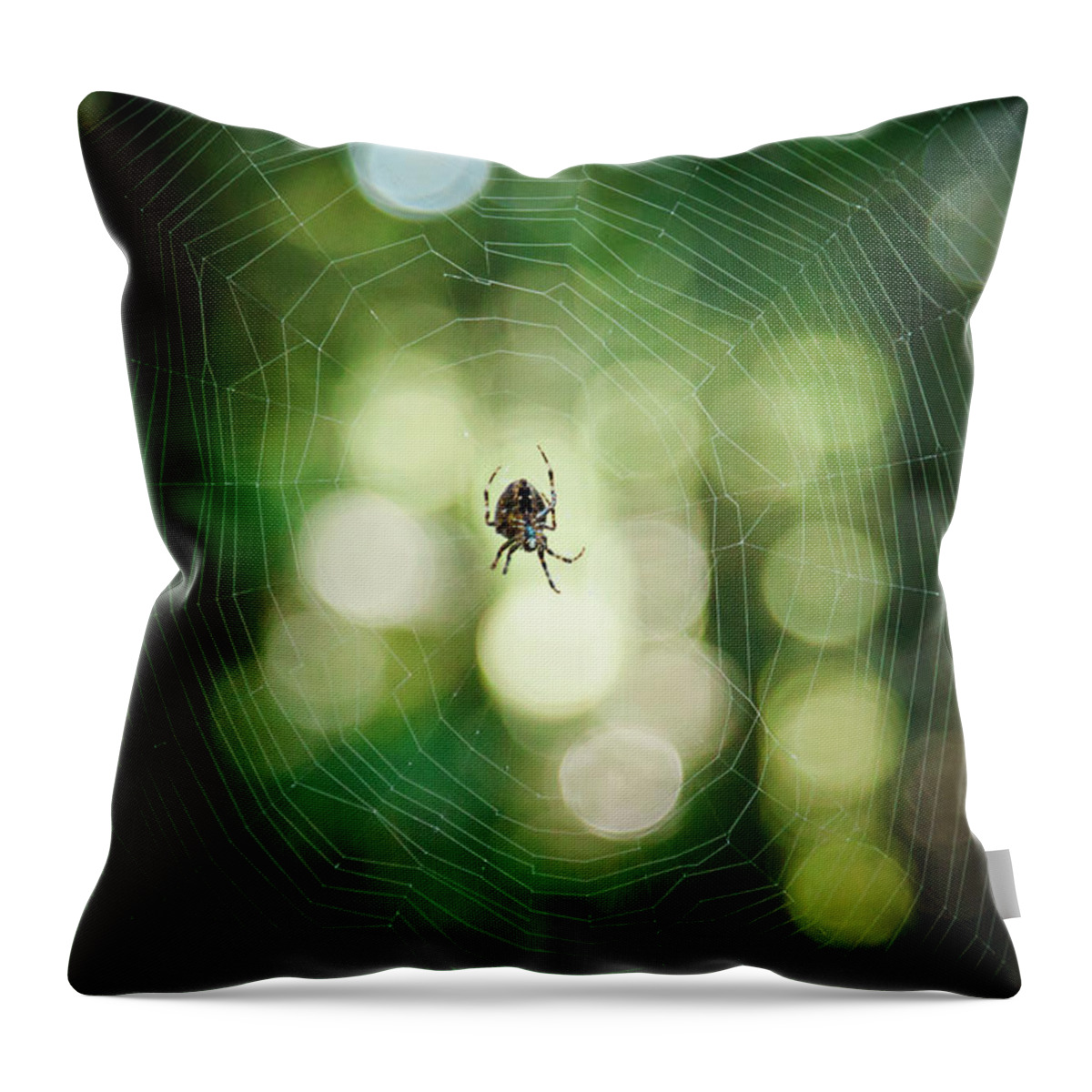 Animal Themes Throw Pillow featuring the photograph Outdoors Nature #22 by Christopher Kimmel