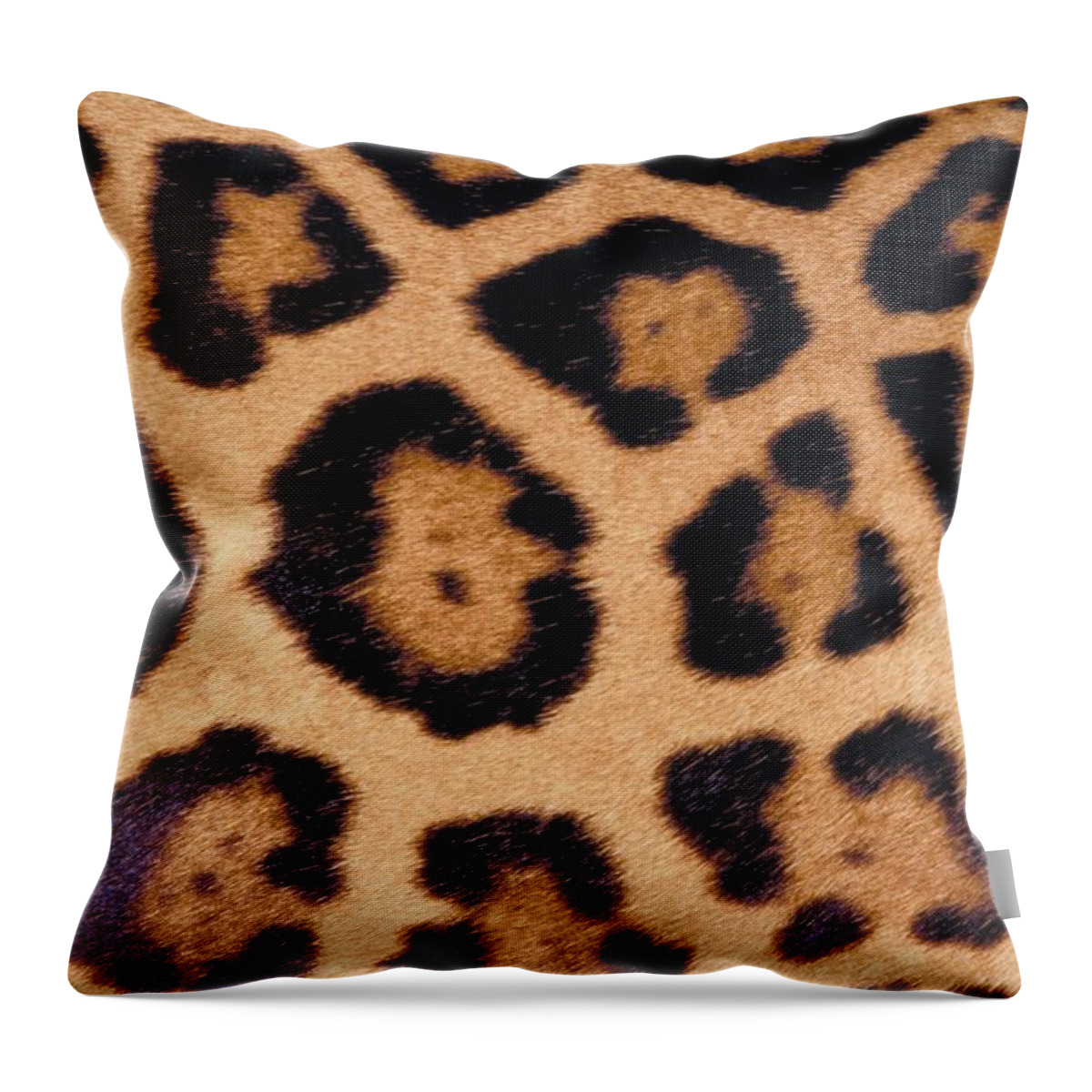 Animal Skin Throw Pillow featuring the photograph 23899700 by Jupiterimages