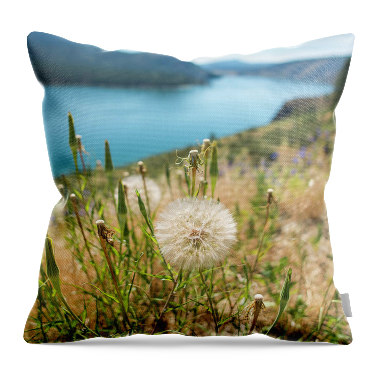 River Throw Pillow featuring the photograph Columbia River Scenes On A Beautiful Sunny Day #3 by Alex Grichenko