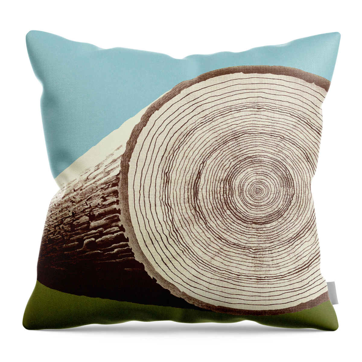 Age Throw Pillow featuring the drawing Cross Section of a Log #3 by CSA Images