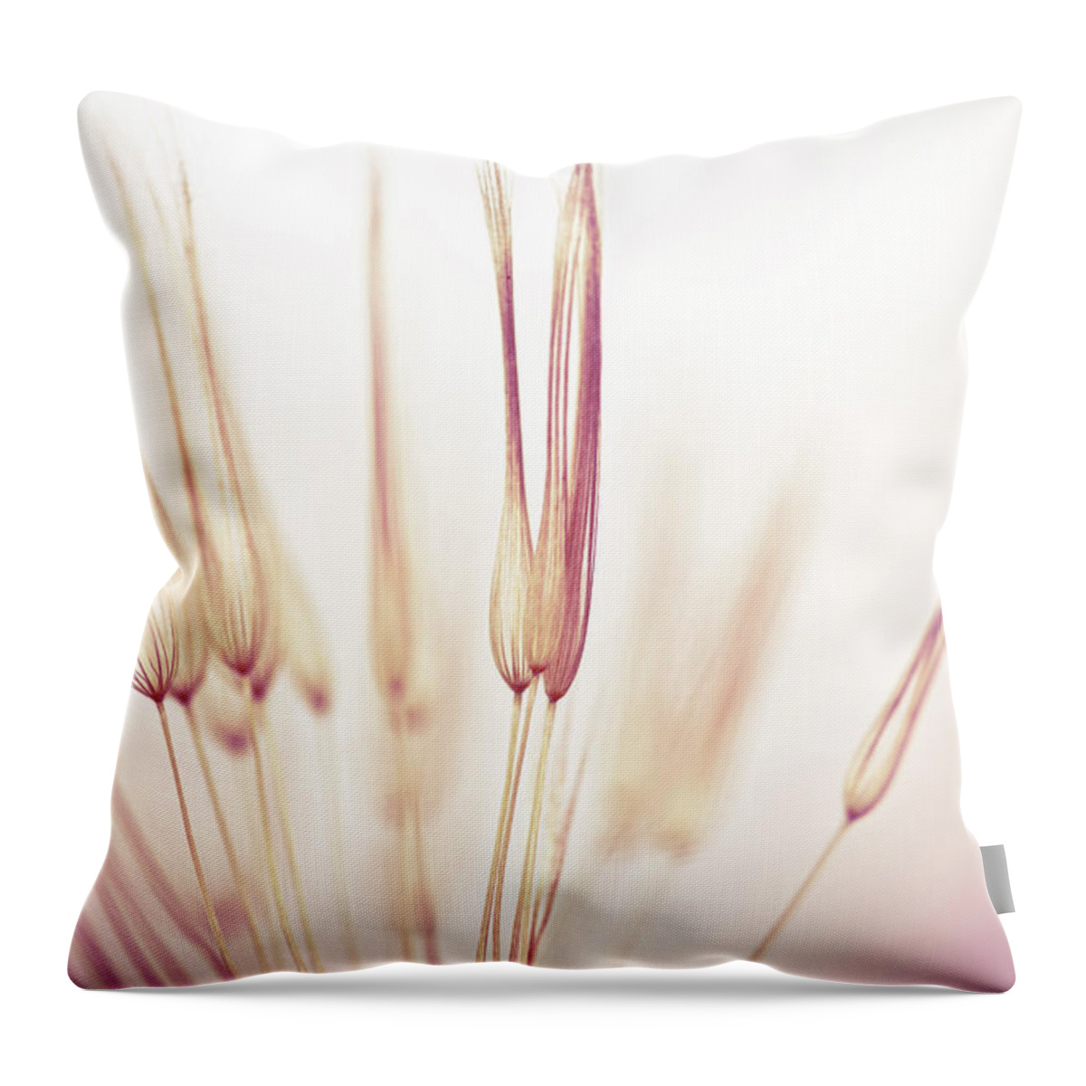 Purple Throw Pillow featuring the photograph Dandelion Seed #3 by Jasmina007
