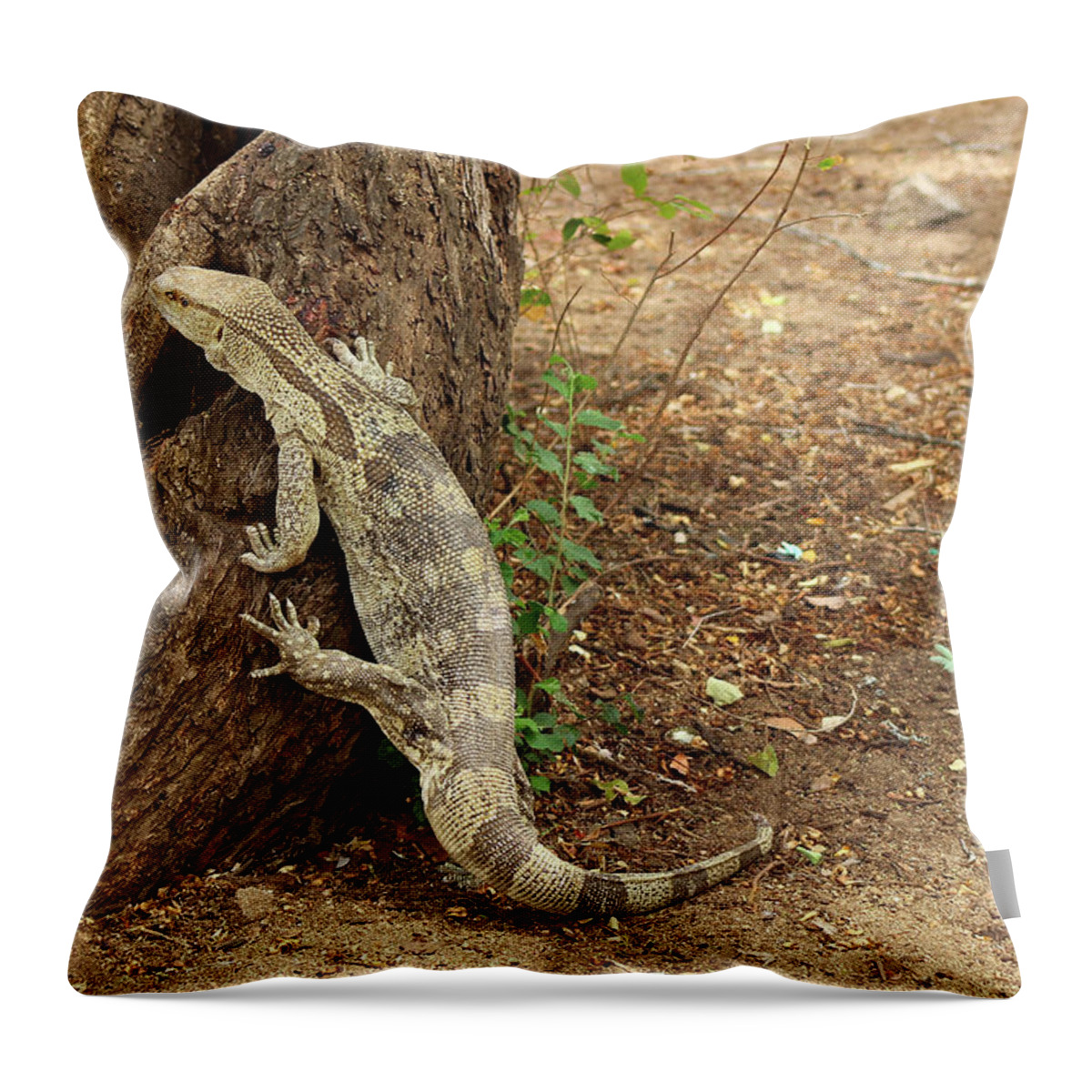  Throw Pillow featuring the photograph 3 by Eric Pengelly
