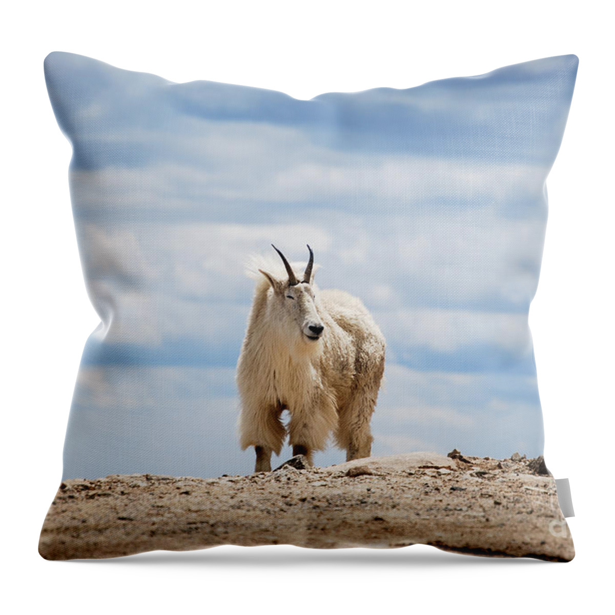 Mountain Throw Pillow featuring the photograph Mountain goat by Steven Liveoak
