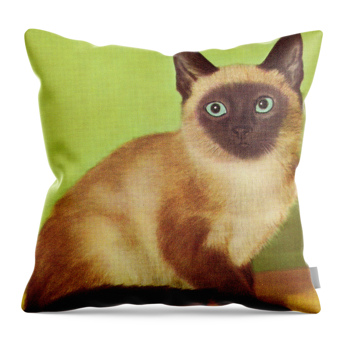 Animal Throw Pillow featuring the drawing Siamese Cat #3 by CSA Images