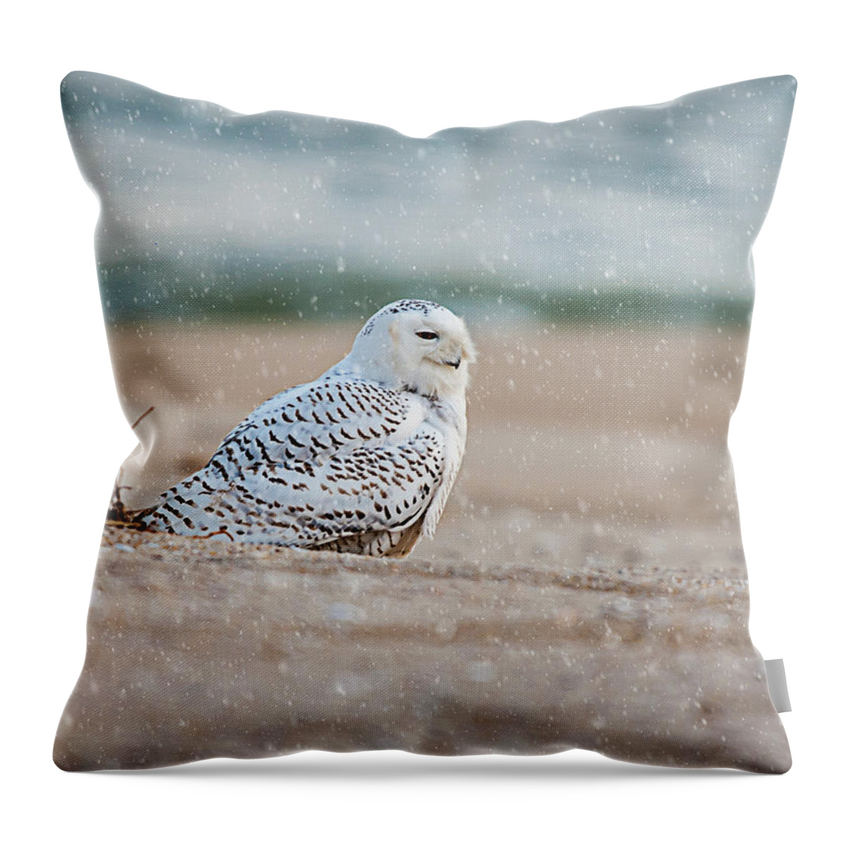 Snowy Owl Throw Pillow featuring the photograph Snowy Owl #3 by Cathy Kovarik