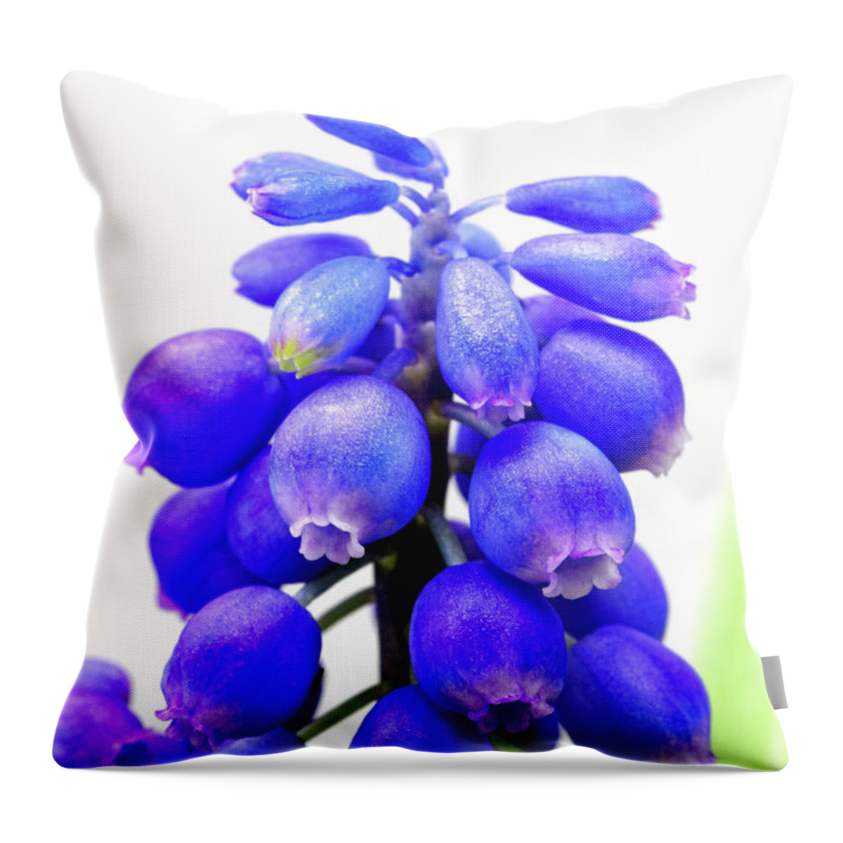 Tiny Throw Pillow featuring the photograph tiny blue bell cluster Grape hyacinth by Robert C Paulson Jr