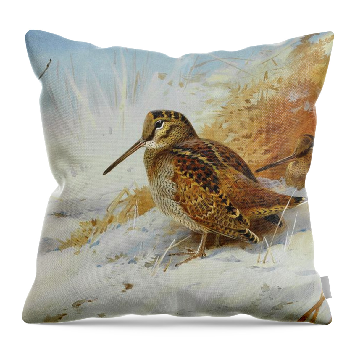 Birds Throw Pillow featuring the painting Winter Woodcock by Archibald Thorburn