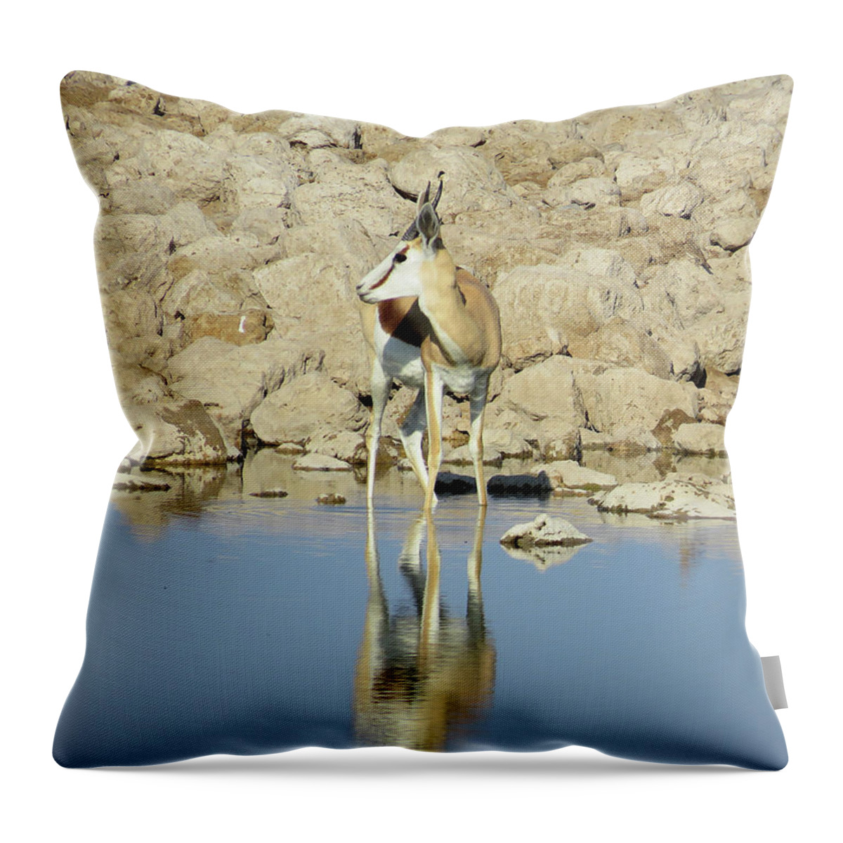  Throw Pillow featuring the photograph 30 by Eric Pengelly