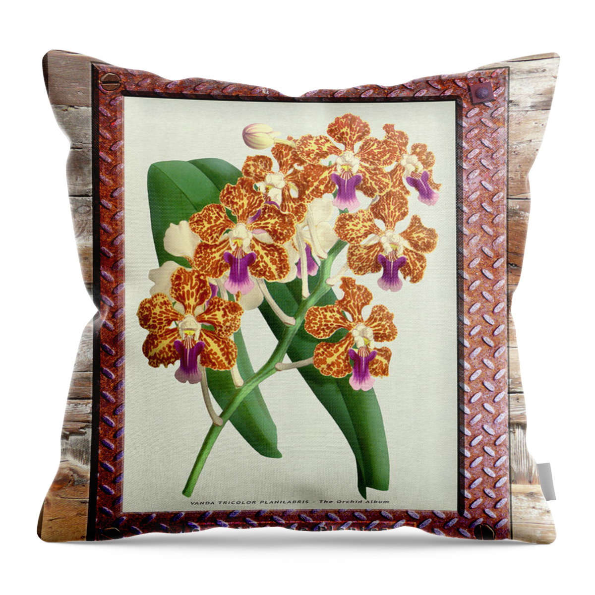 Vintage Throw Pillow featuring the drawing Orchid Framed on Weathered Plank and Rusty Metal #301 by Baptiste Posters