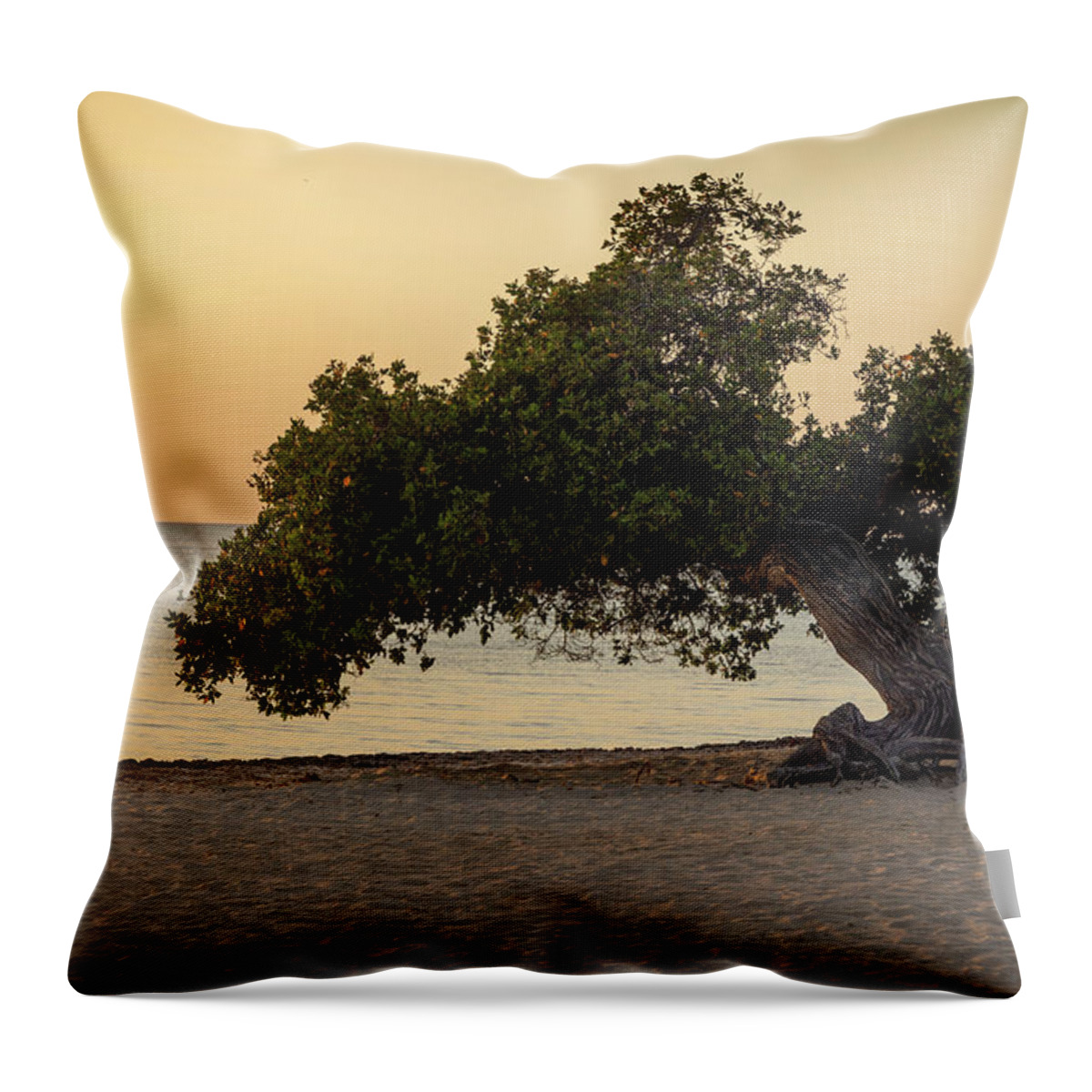 Estock Throw Pillow featuring the digital art Aruba, Eagle Beach Scene With Fofoti Tree #4 by Claudia Uripos
