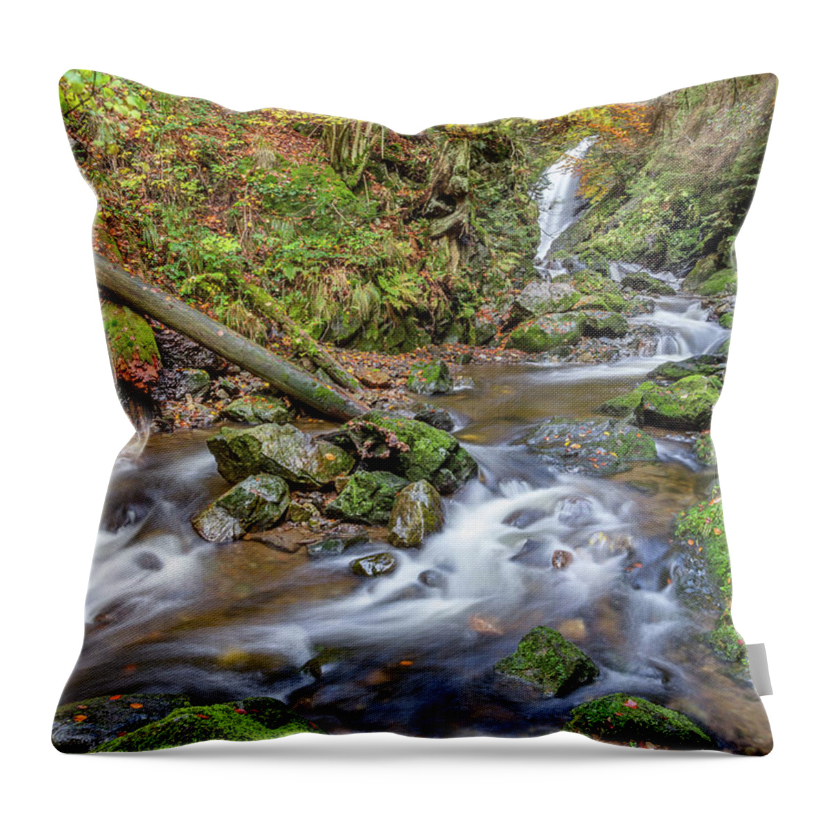 Ravenna-gorge Throw Pillow featuring the photograph Cascades And Waterfalls #6 by Bernd Laeschke