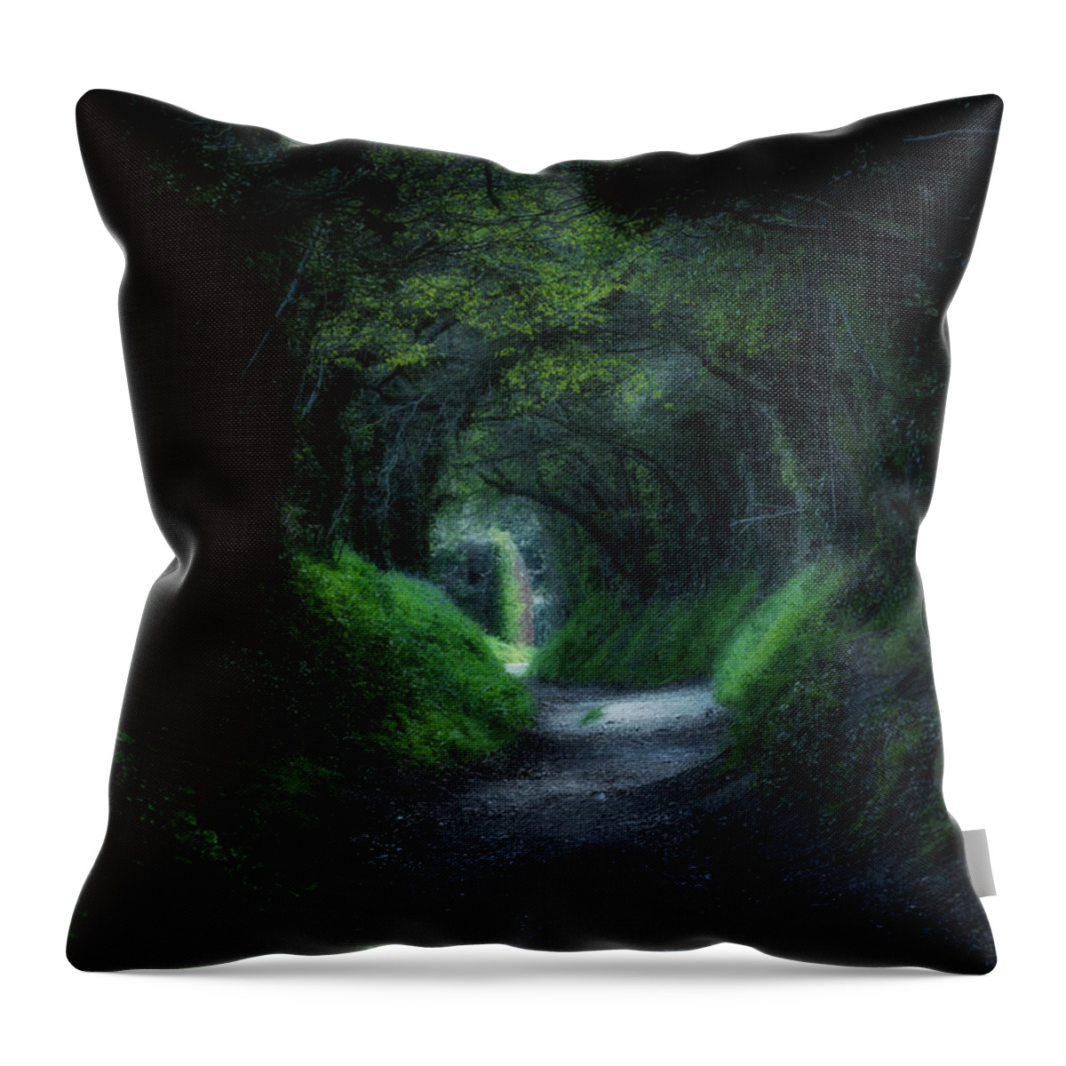 Mill Lane Throw Pillow featuring the photograph Halnaker - England #4 by Joana Kruse