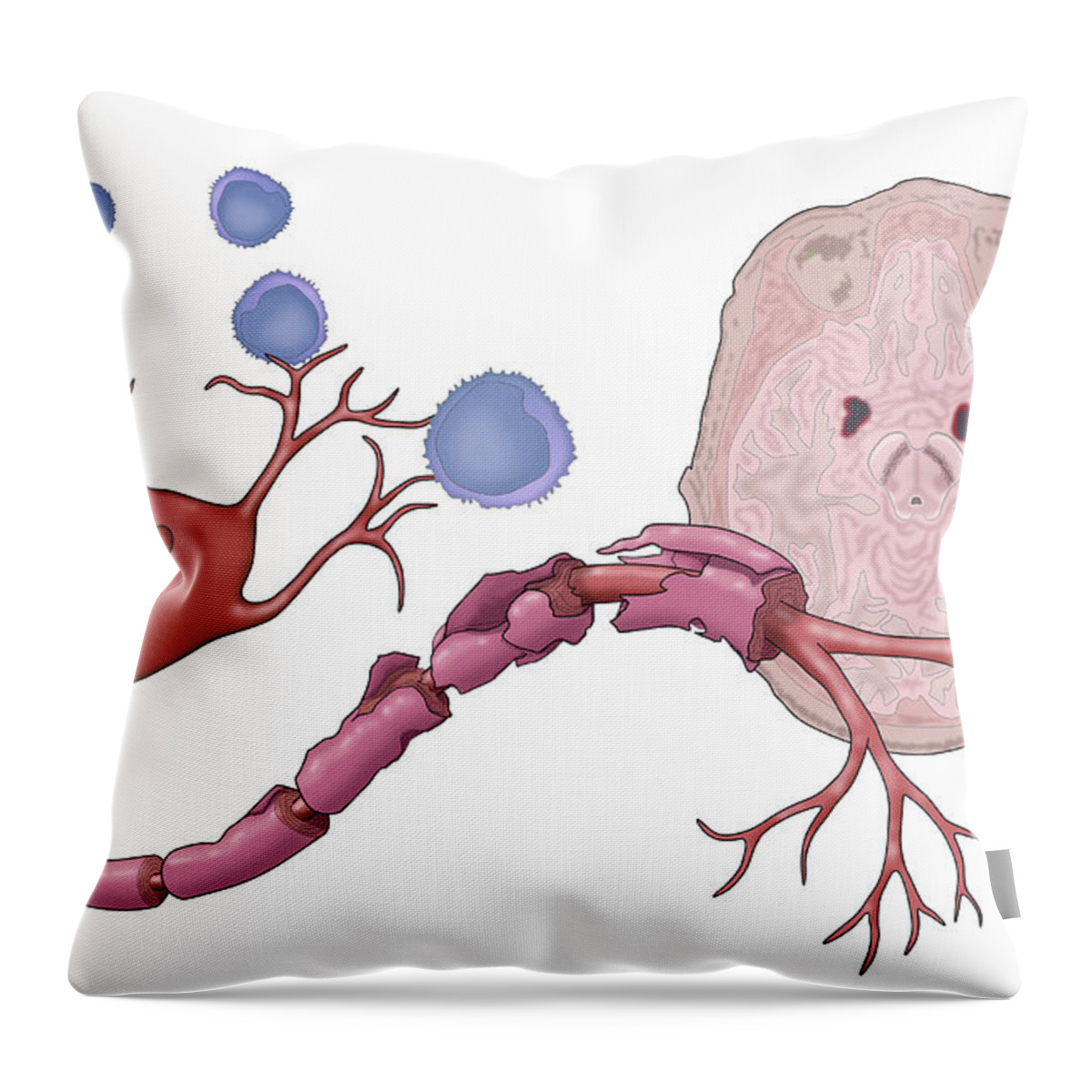 Anatomy Throw Pillow featuring the photograph Multiple Sclerosis #4 by Monica Schroeder