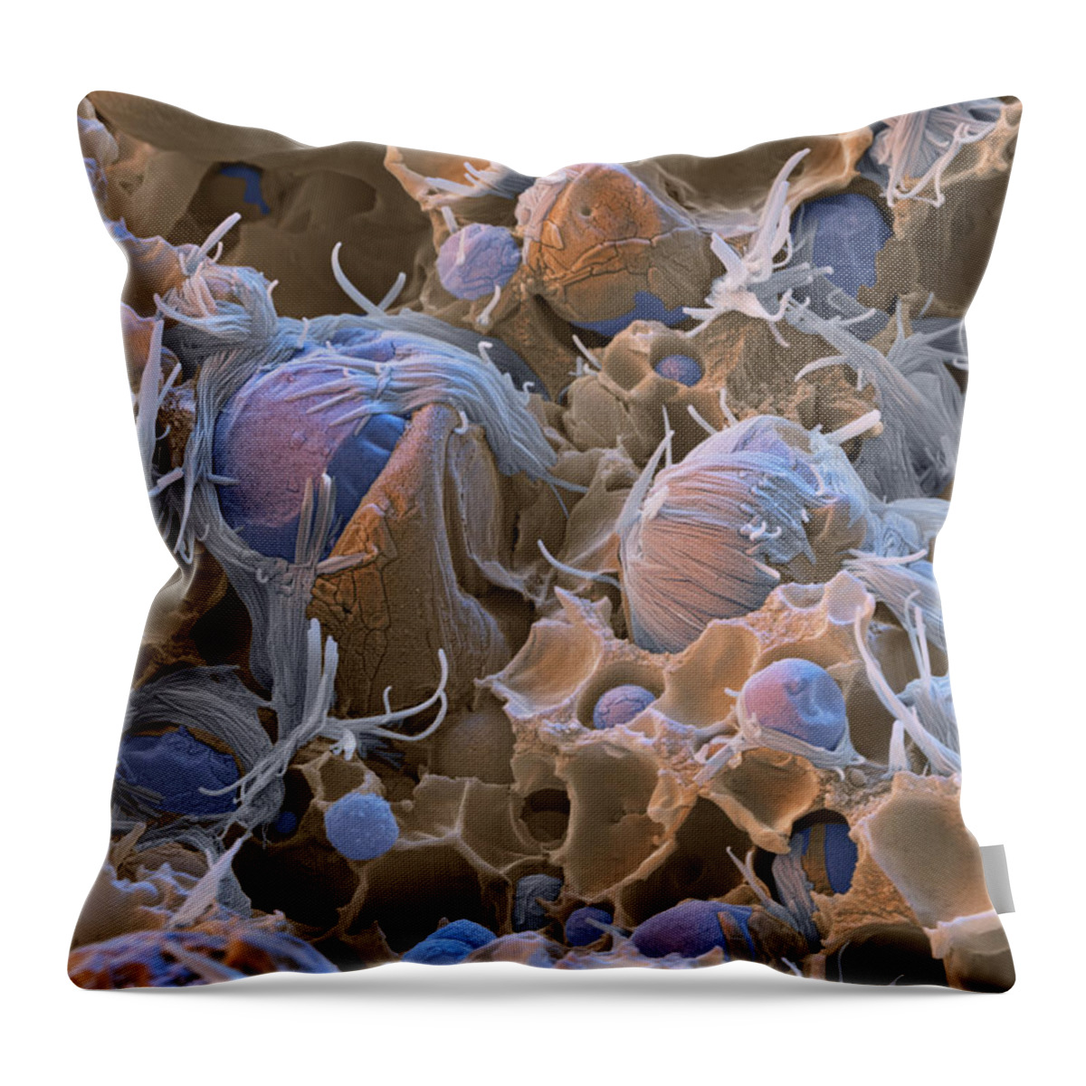 Chemistry Throw Pillow featuring the photograph Polyacrylic Acid Sem #4 by Meckes/ottawa