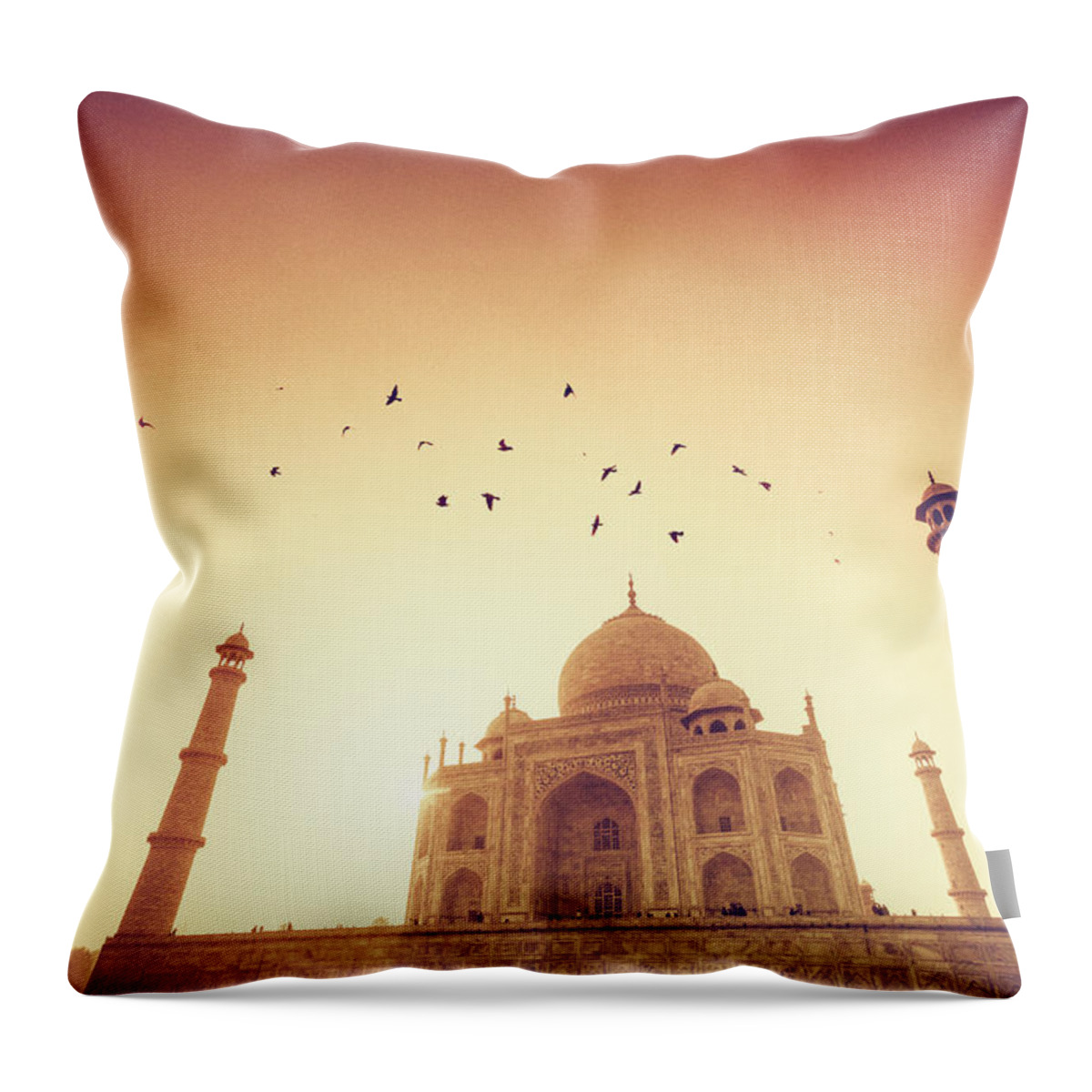 Clear Sky Throw Pillow featuring the photograph Taj Mahal, Agra, India #4 by Michele Falzone