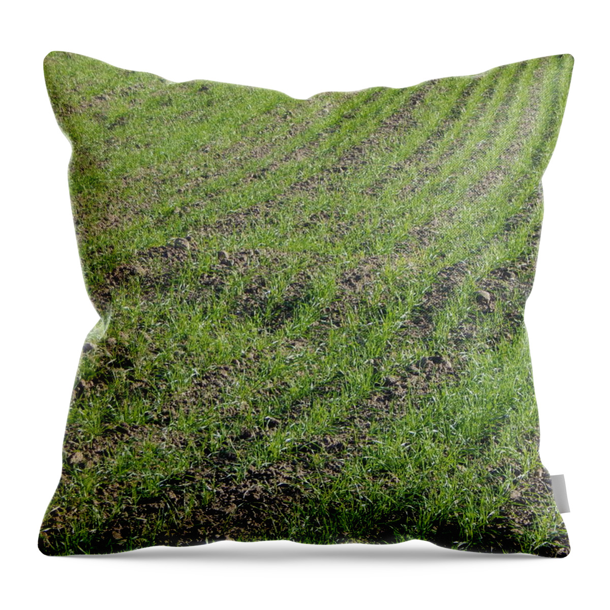 Tractor Throw Pillow featuring the photograph Tractor plowed field and arable land #4 by Oleg Prokopenko