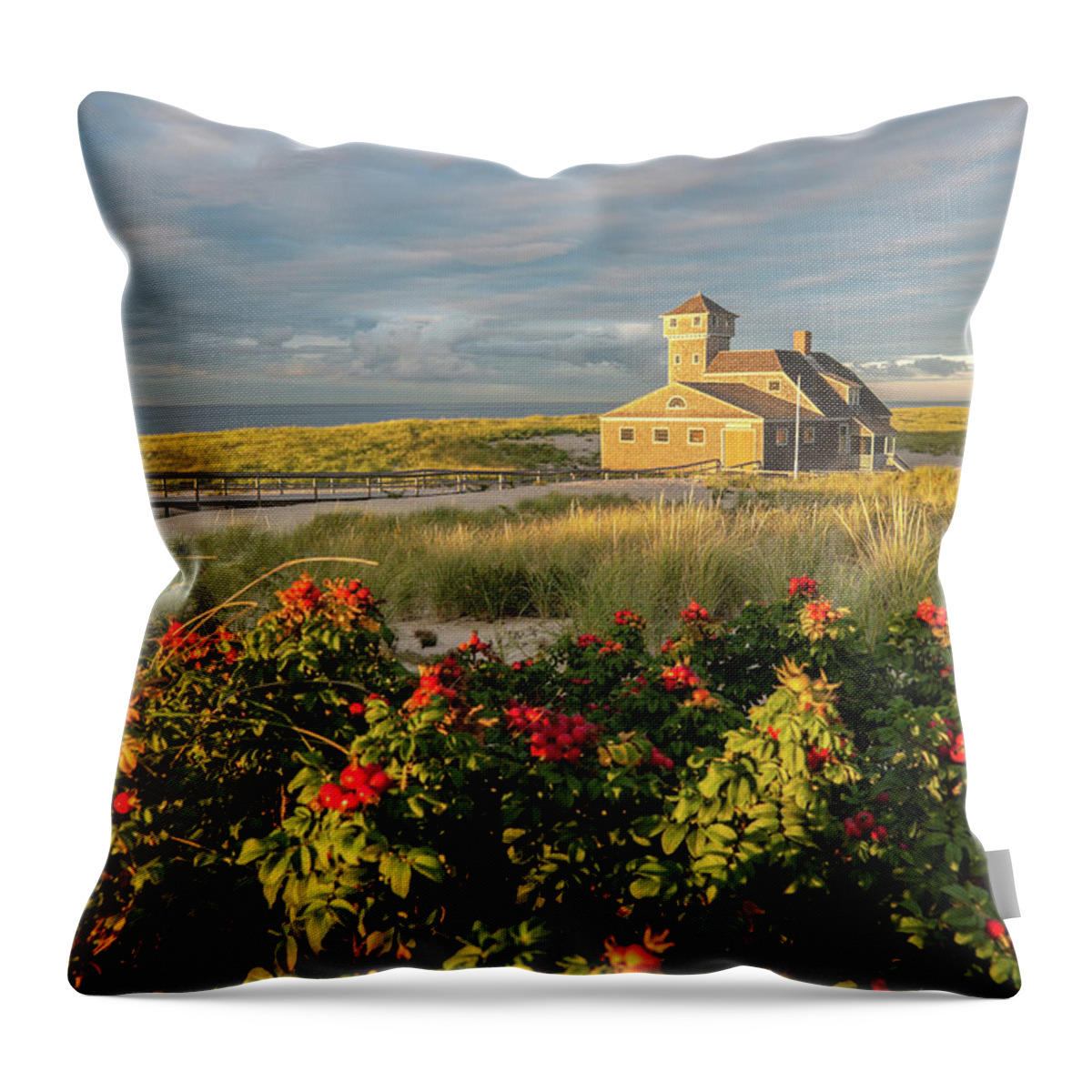 Estock Throw Pillow featuring the digital art Usa, New England, Cape Cod #4 by Guido Cozzi