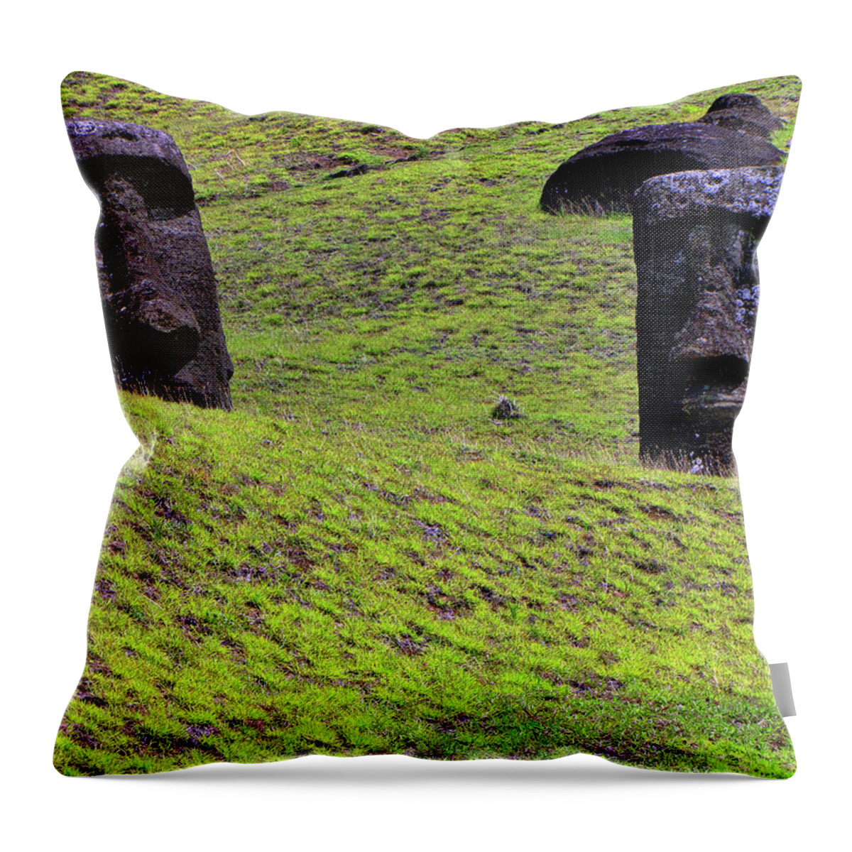 Easter Island Chile Throw Pillow featuring the photograph Easter Island Chile #40 by Paul James Bannerman