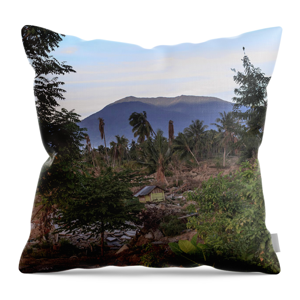 Beautiful Throw Pillow featuring the photograph A sunny morning at the village petobo lost due to liquefaction #5 by Mangge Totok