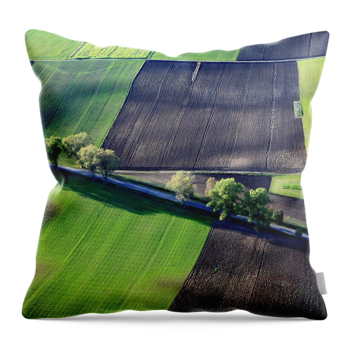 Scenics Throw Pillow featuring the photograph Aerial Photo Of Farmland #5 by Dariuszpa