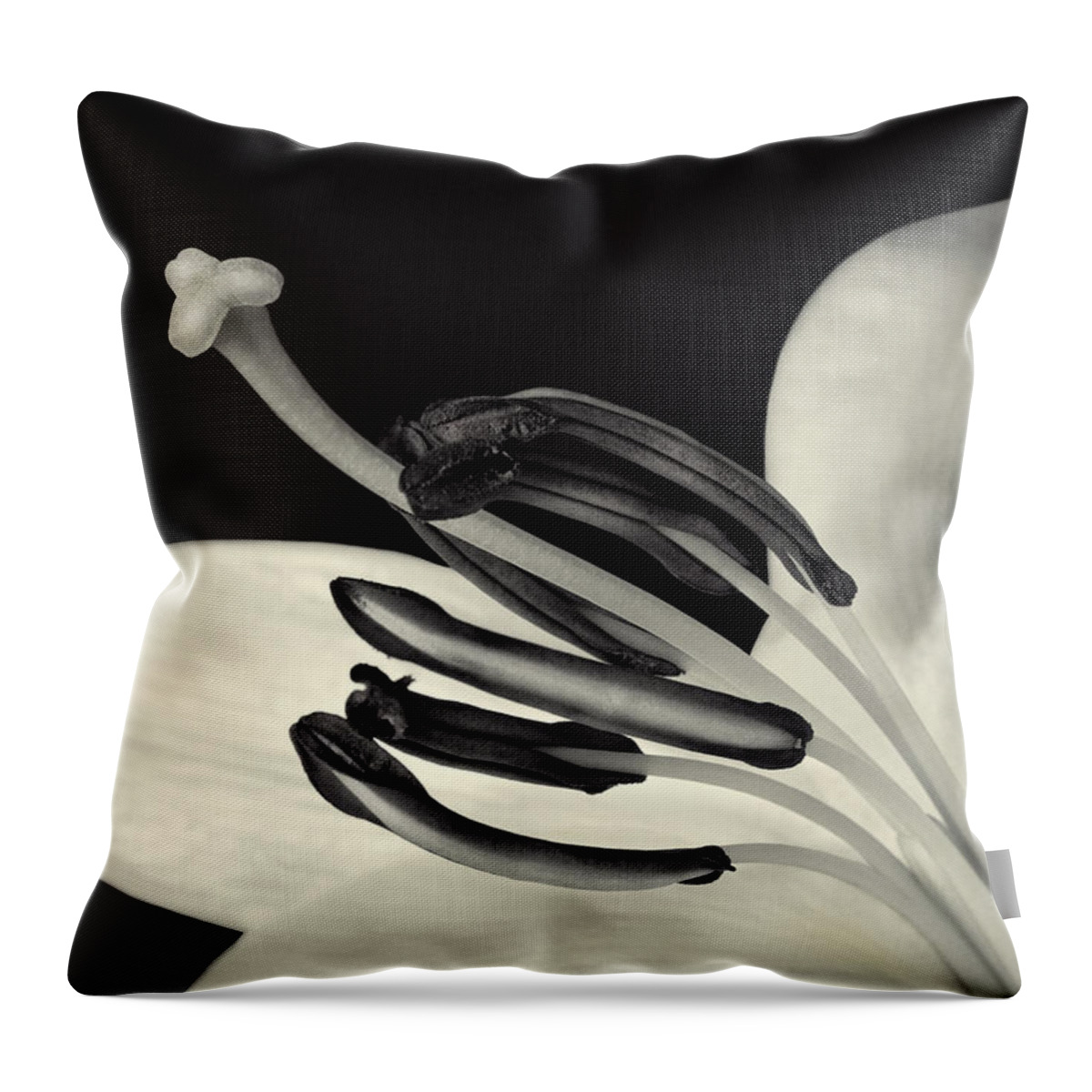 Easter Lily Throw Pillow featuring the photograph Black And White #5 by Juj Winn