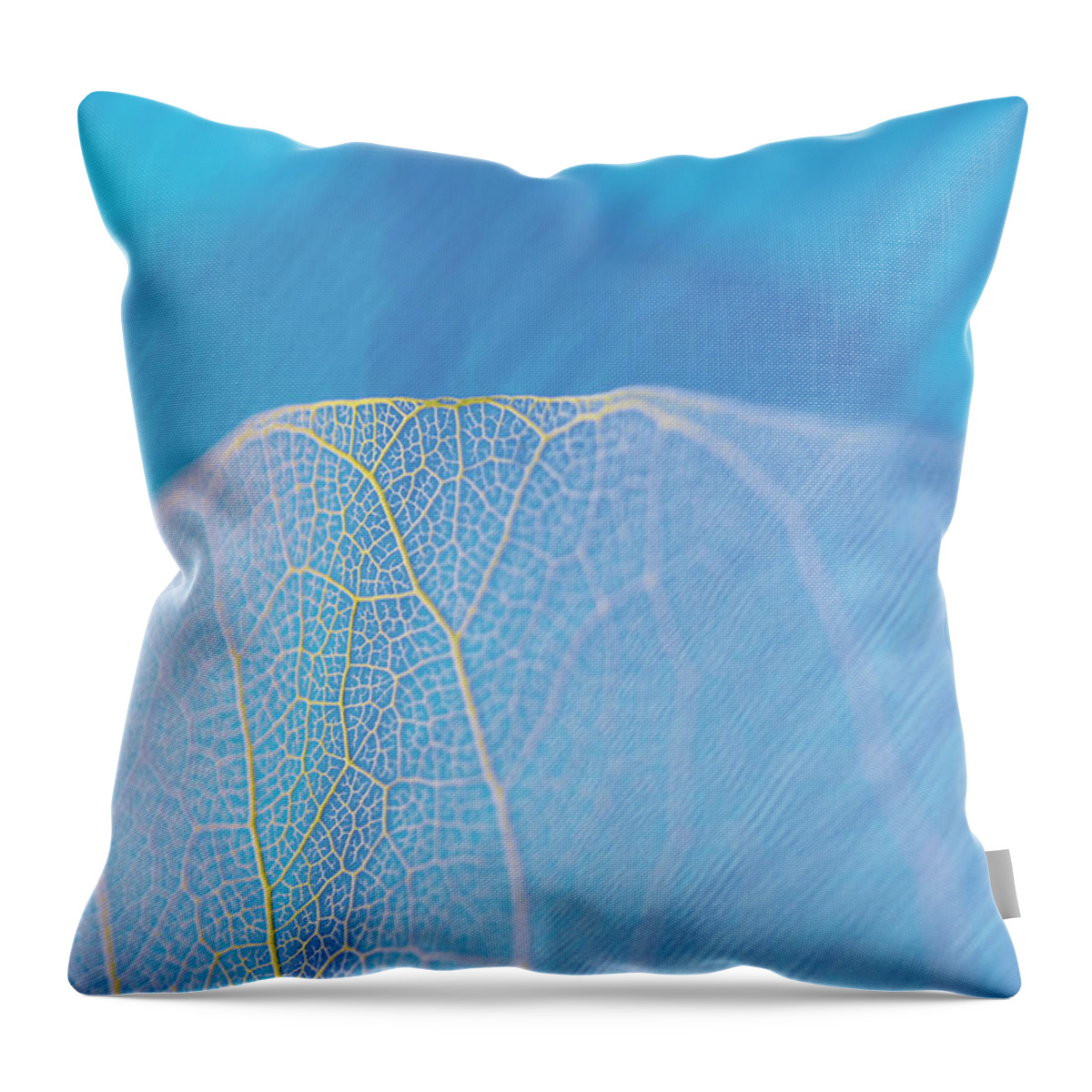 Natural Pattern Throw Pillow featuring the photograph Close-up Of A Dried Leaf Vein #5 by Glowimages