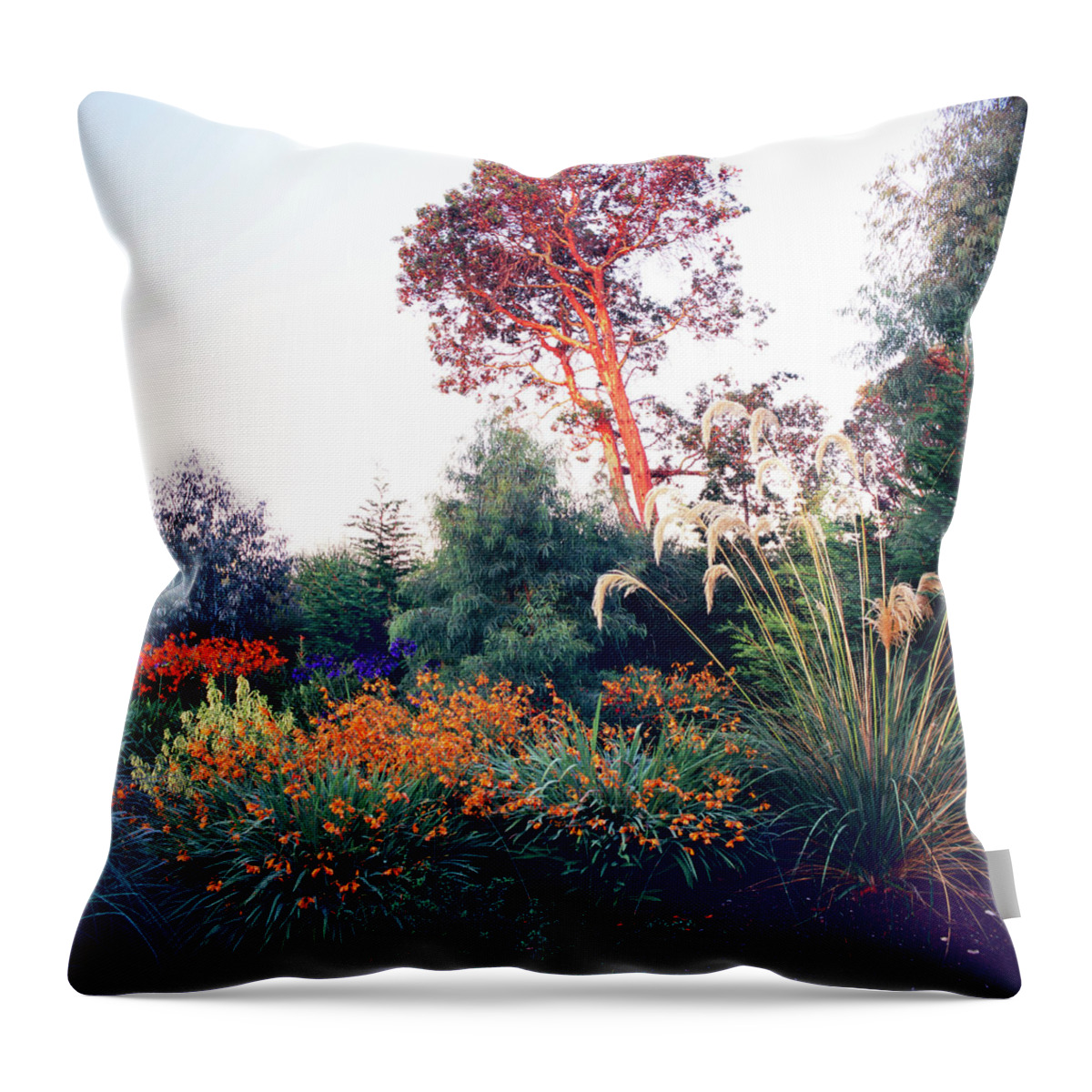 Scenics Throw Pillow featuring the photograph Dan Hinkley Garden #5 by Richard Felber