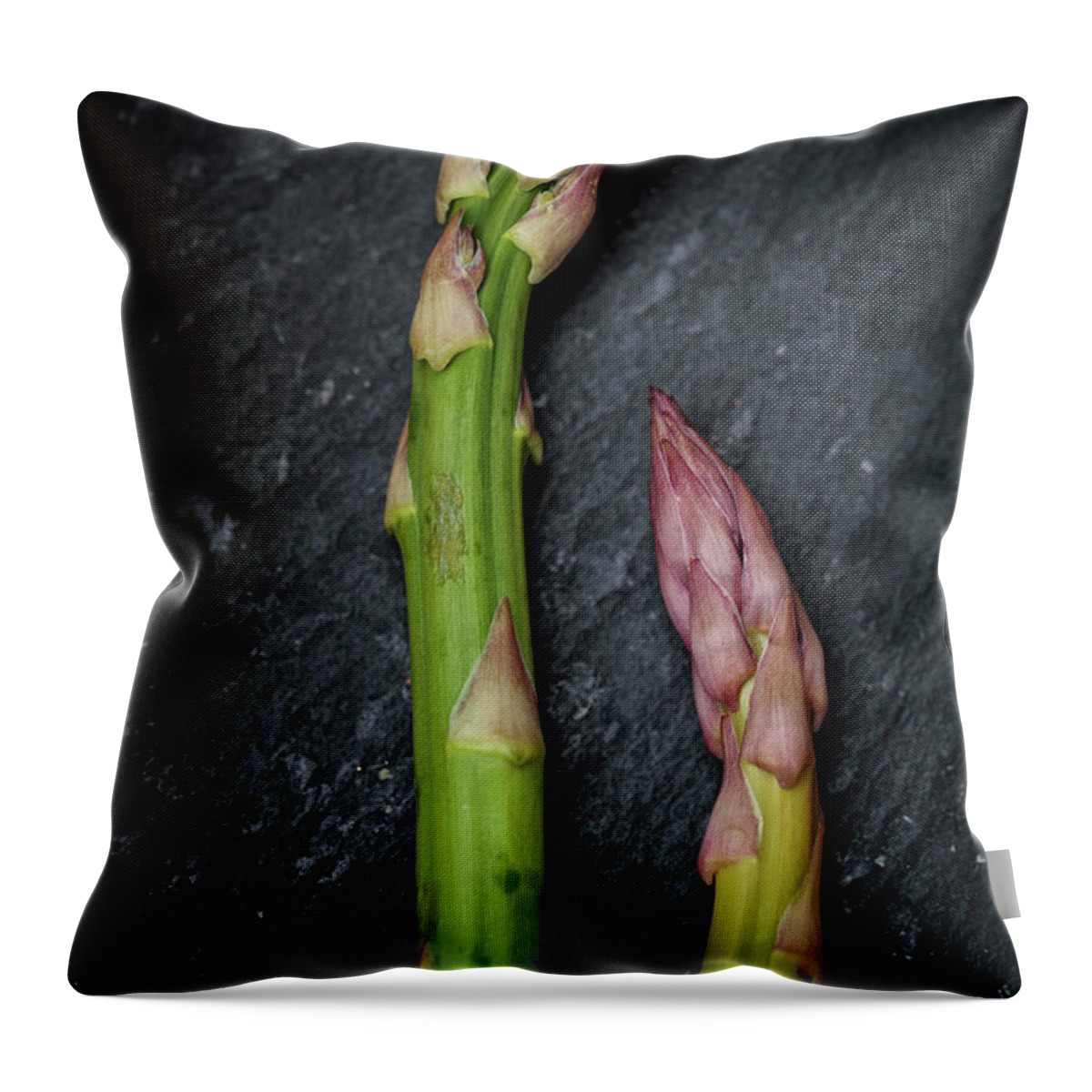 Asparagus Throw Pillow featuring the photograph Fresh Green Asparagus #5 by Nailia Schwarz