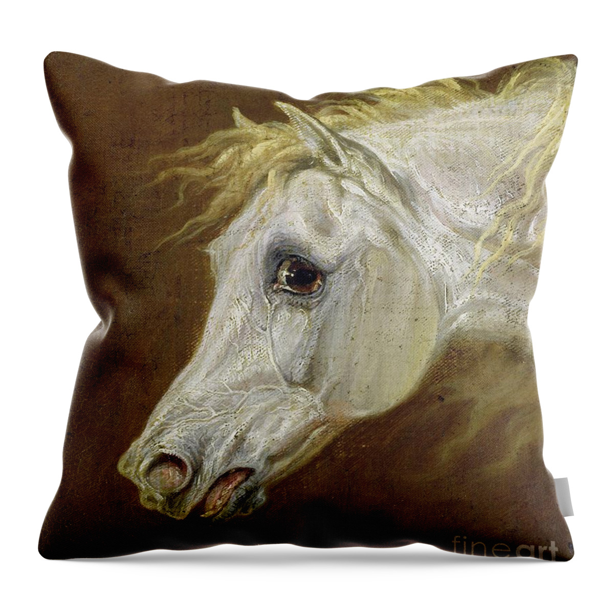 Portrait Throw Pillow featuring the painting Head Of A Grey Arabian Horse by Martin Theodore Ward