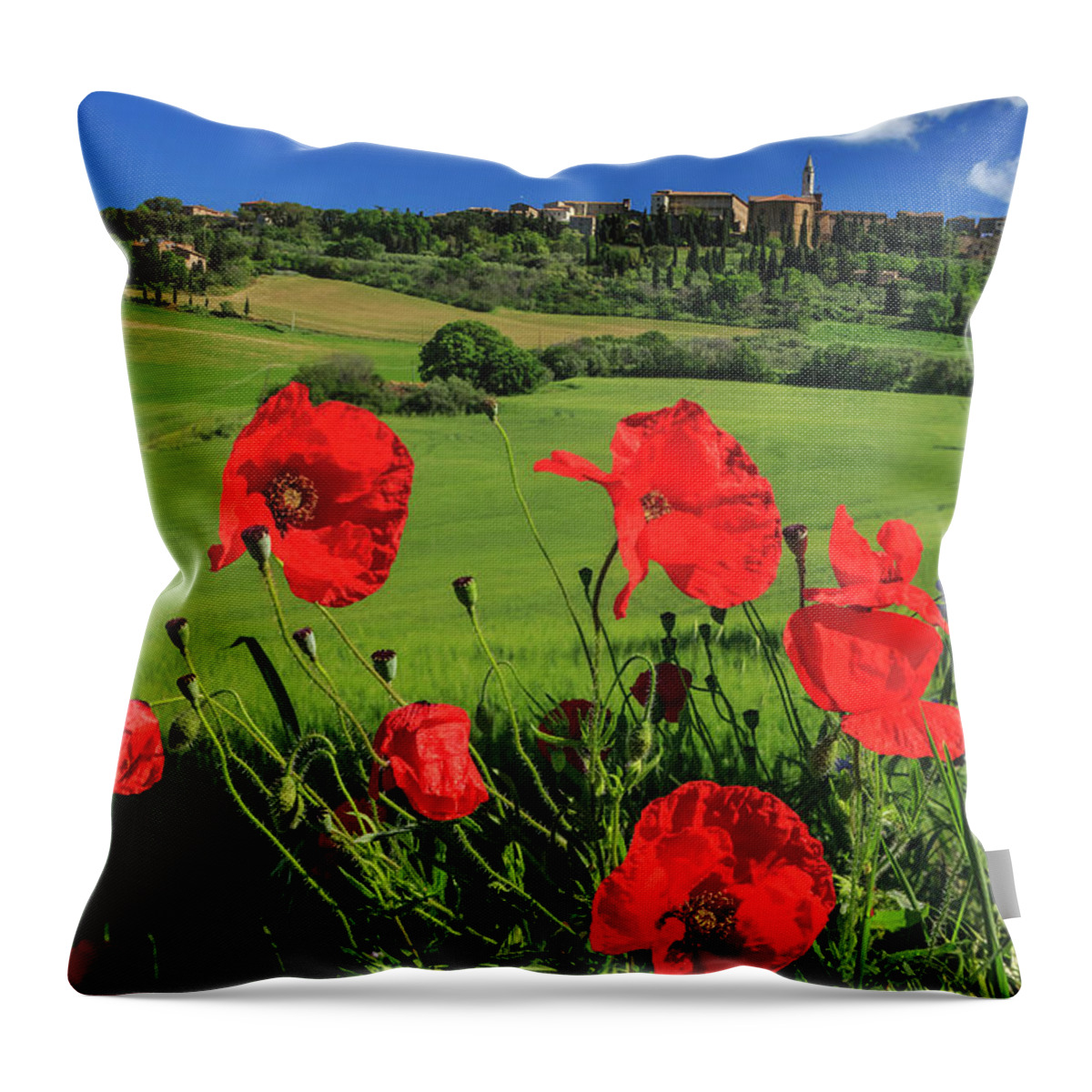 Estock Throw Pillow featuring the digital art Italy, Tuscany, Orcia Valley #5 by Maurizio Rellini