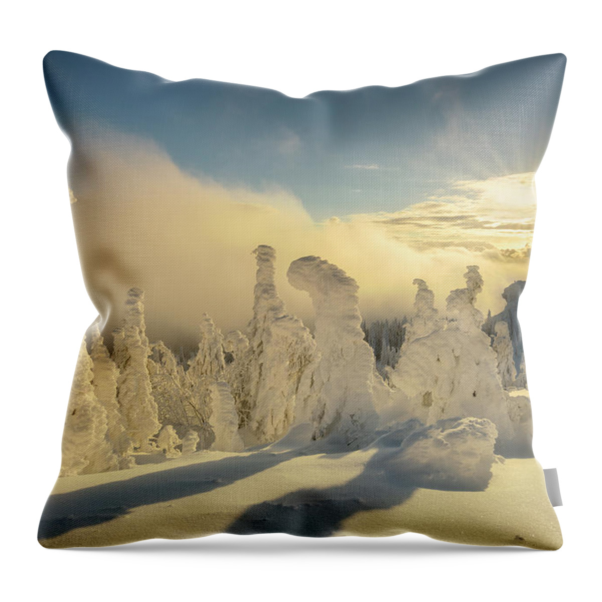 Estock Throw Pillow featuring the digital art Spruces Covered In Deep Snow On Grosser Arber Mountain (1458m), Lower Bavaria, Bavaria, Germany #5 by Cornelia Dorr
