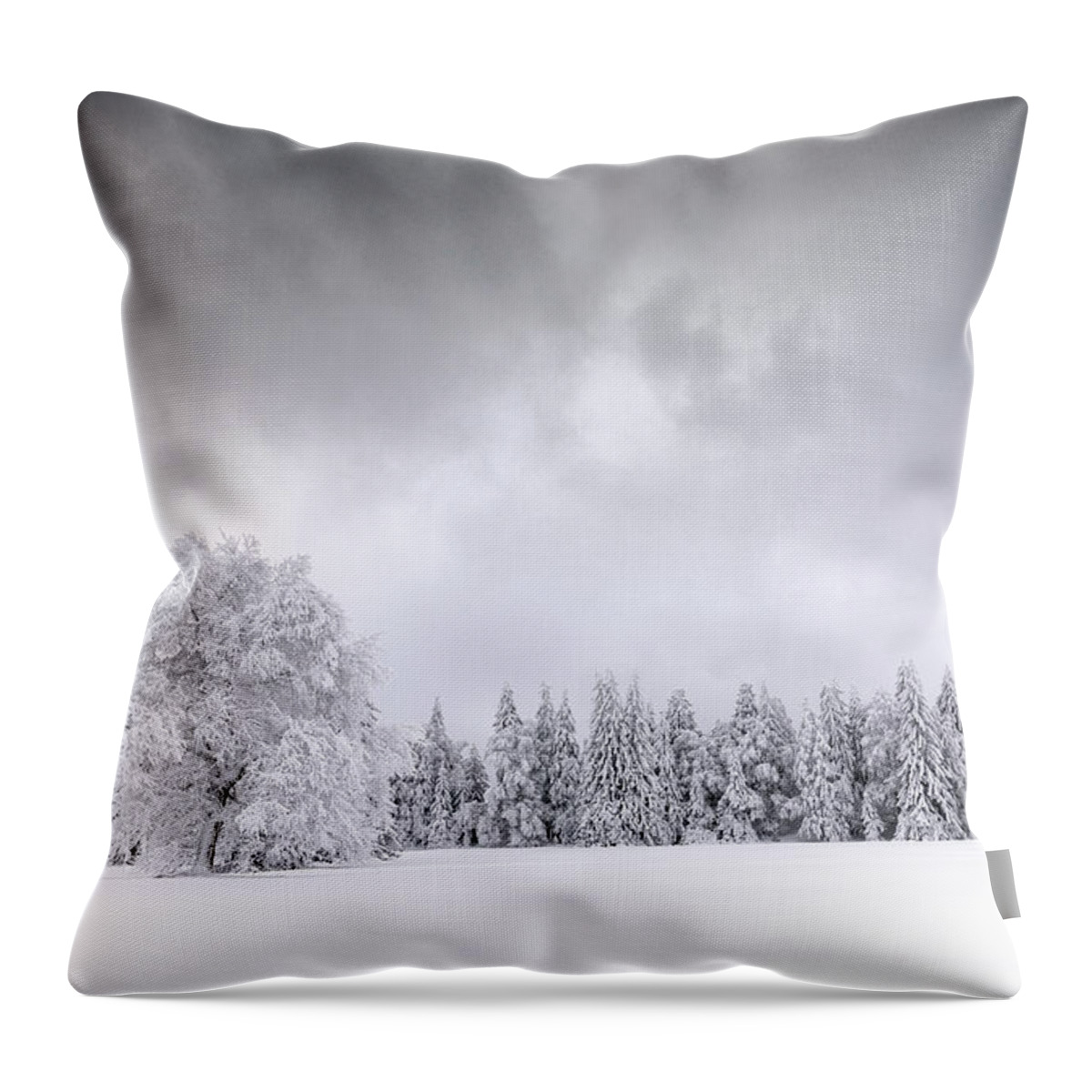 Winter Throw Pillow featuring the photograph 50 Shades Of Grey by Dominique Dubied